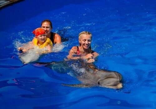 Фото Плавания с дельфинами в Севастополе